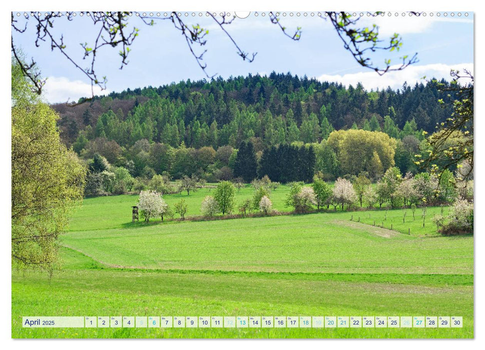 Traumhafter Taunus (CALVENDO Premium Wandkalender 2025)