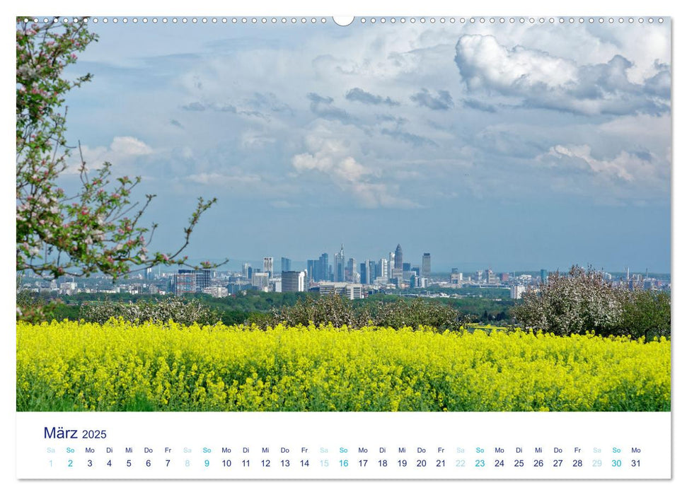 Fantastisches Frankfurt (CALVENDO Premium Wandkalender 2025)