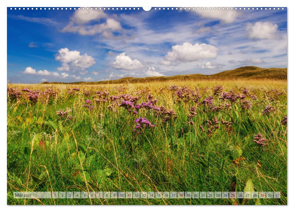 Texel - Kleine Insel, große Vielfalt (CALVENDO Premium Wandkalender 2025)