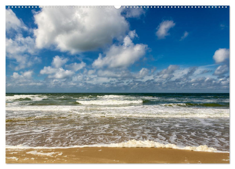 Texel - Kleine Insel, große Vielfalt (CALVENDO Premium Wandkalender 2025)