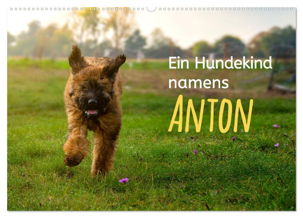 Ein Hundekind namens Anton (CALVENDO Wandkalender 2025)