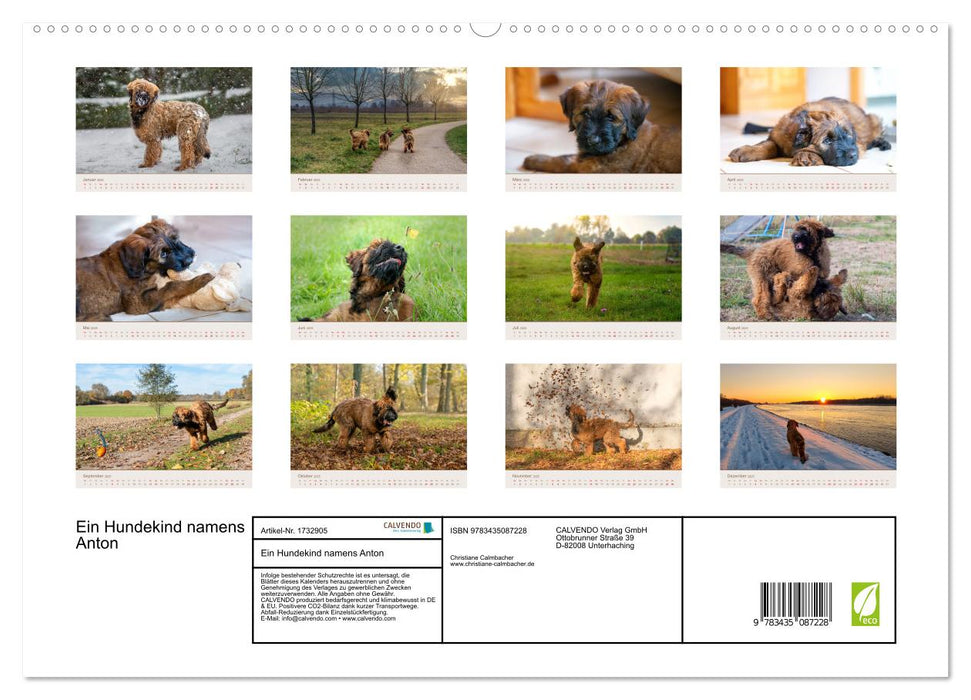 Ein Hundekind namens Anton (CALVENDO Wandkalender 2025)