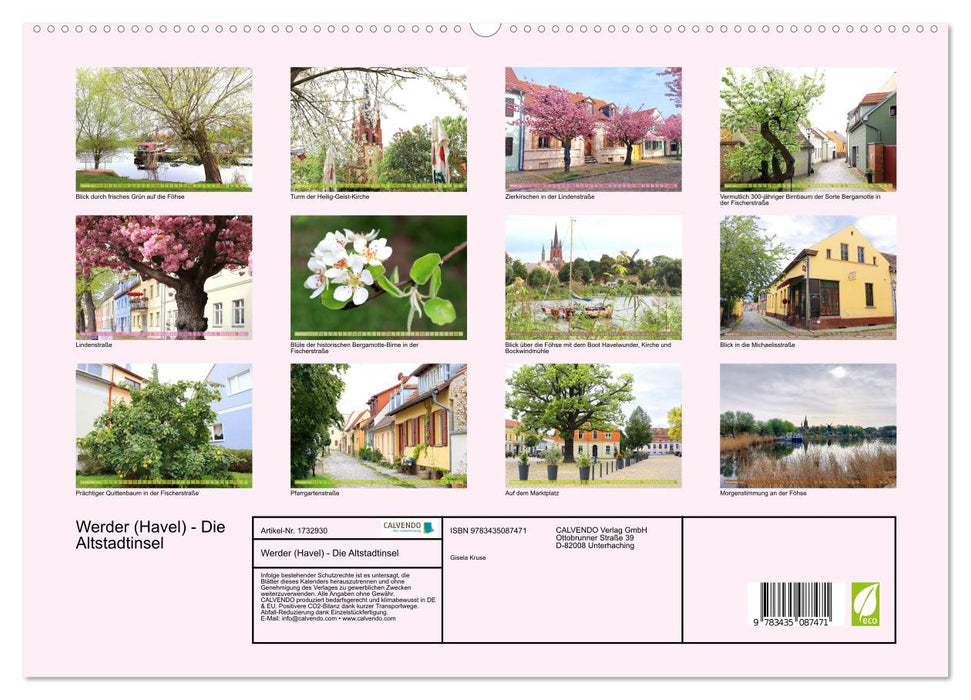 Werder (Havel) - Die Altstadtinsel (CALVENDO Premium Wandkalender 2025)