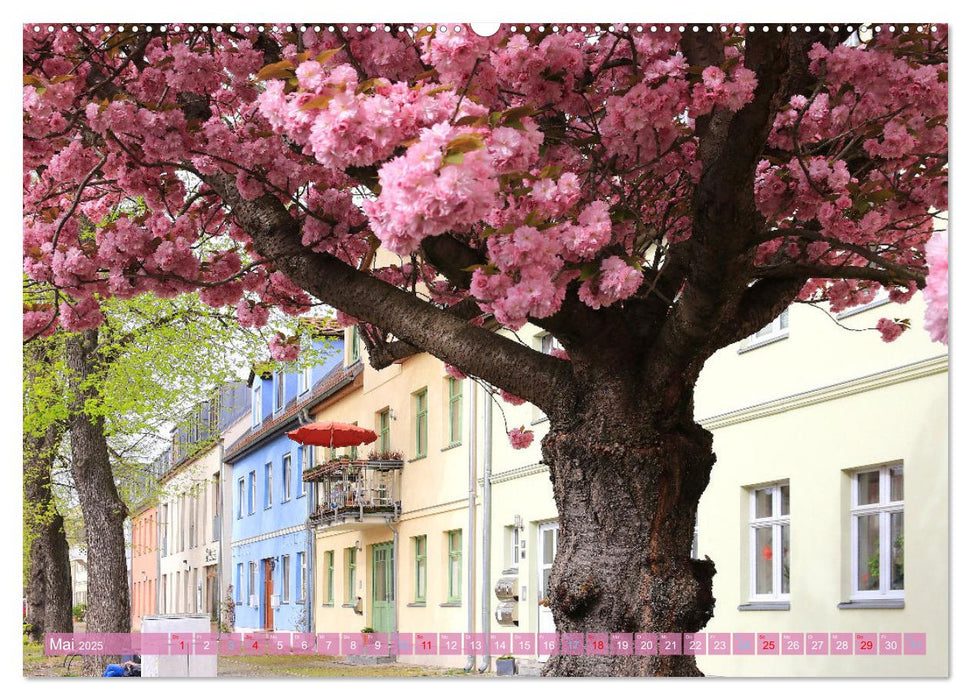 Werder (Havel) - Die Altstadtinsel (CALVENDO Premium Wandkalender 2025)