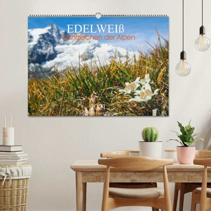 Edelweiß - Wahrzeichen der Alpen (CALVENDO Wandkalender 2025)