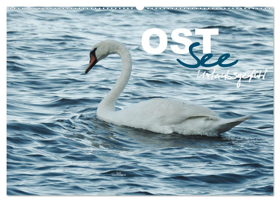 Ostsee - Urlaubsgefühl (CALVENDO Wandkalender 2025)