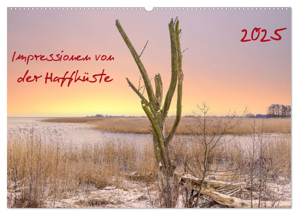 Impressionen von der Haffküste (CALVENDO Wandkalender 2025)