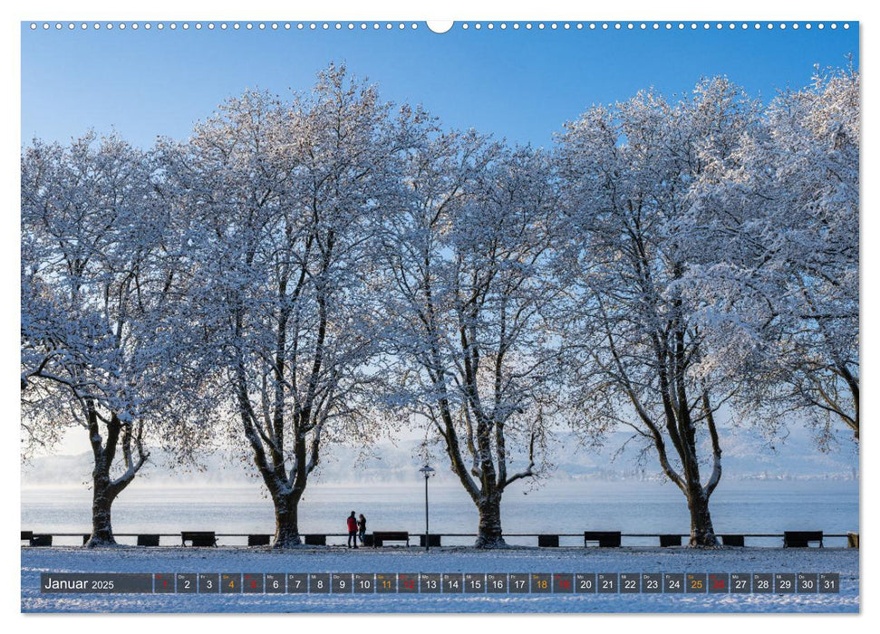 Die Halbinsel Mettnau - Erholungsort im Bodensee (CALVENDO Premium Wandkalender 2025)