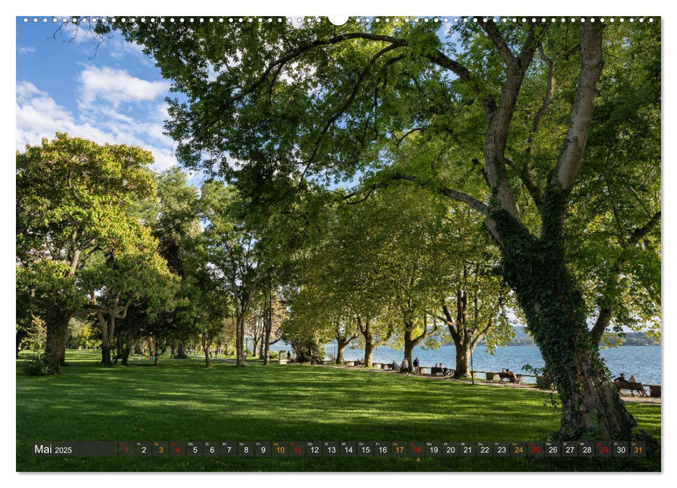 Die Halbinsel Mettnau - Erholungsort im Bodensee (CALVENDO Premium Wandkalender 2025)