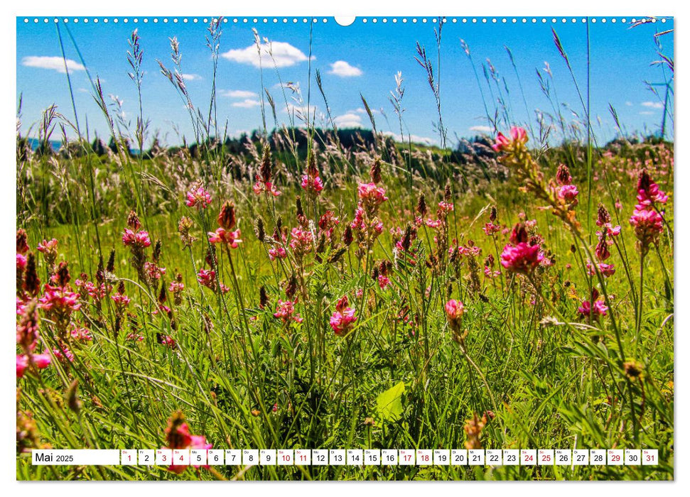 Unterwegs auf dem GrimmSteig - Zu Fuß durch Nordhessens Märchenwälder (CALVENDO Wandkalender 2025)