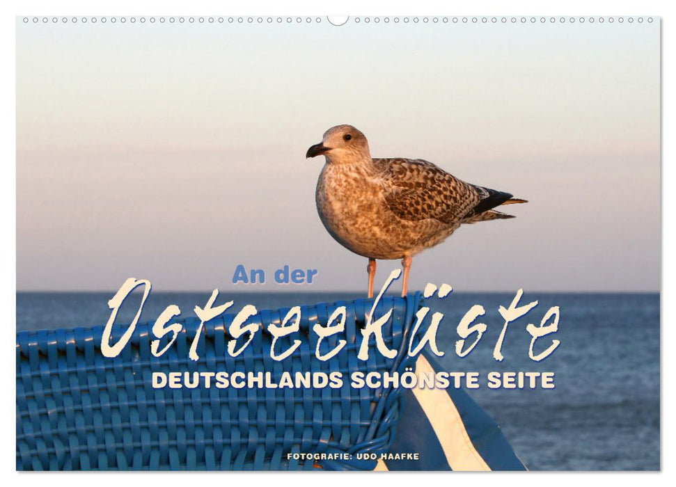 An der Ostseeküste - Deutschlands schönste Seite (CALVENDO Wandkalender 2025)