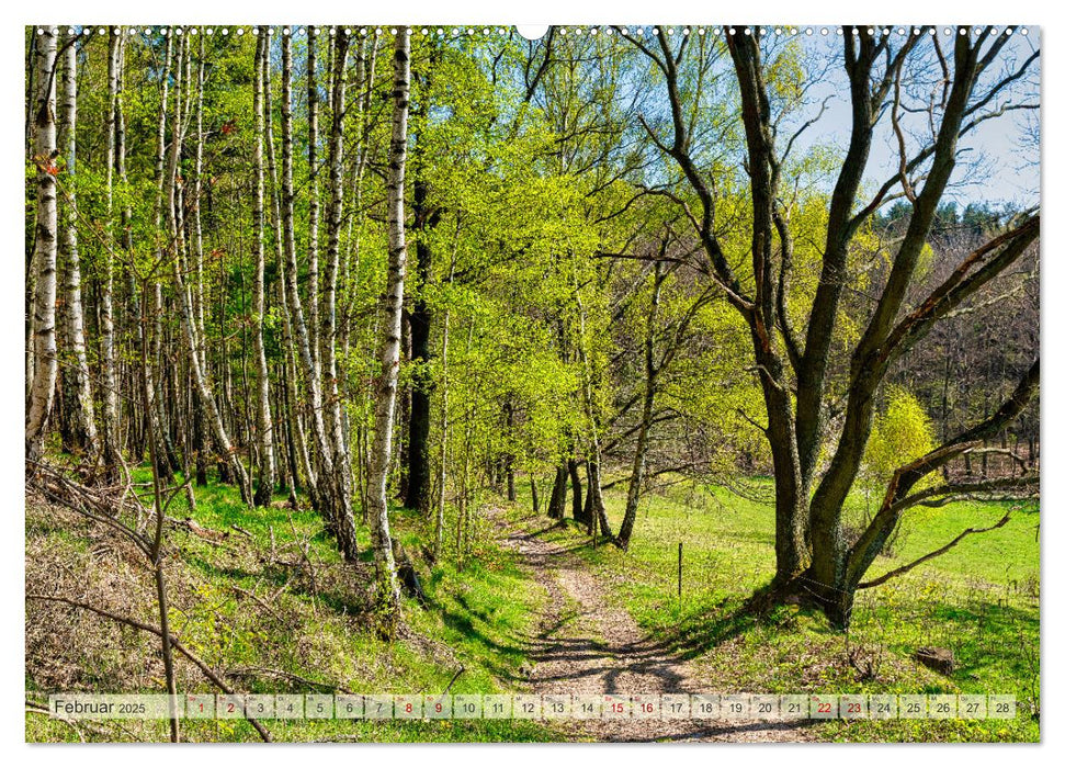 Wandern in Thüringen (CALVENDO Premium Wandkalender 2025)