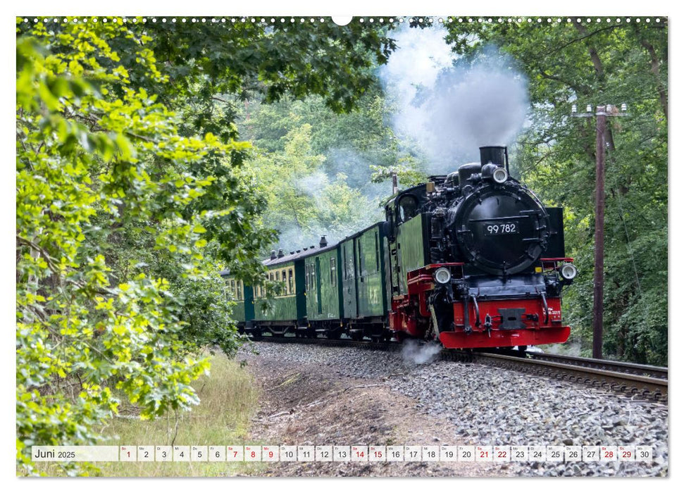 RÜGEN UND HIDDENSEE Ein fantastischer Spätsommer (CALVENDO Premium Wandkalender 2025)