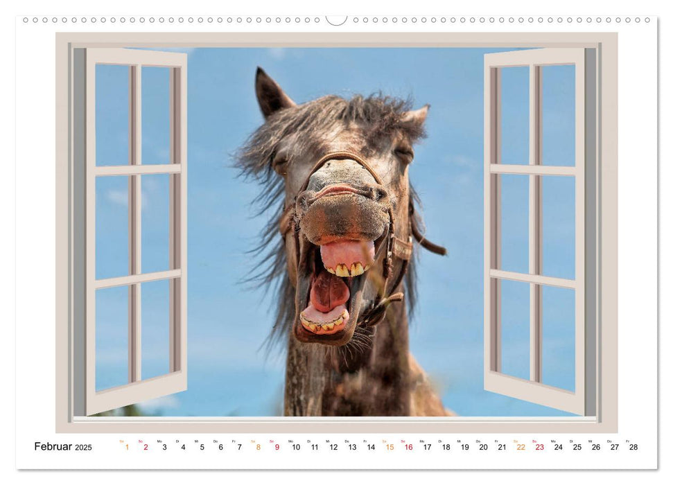 Fenstergucker - tierische Freunde an der Wand (CALVENDO Premium Wandkalender 2025)