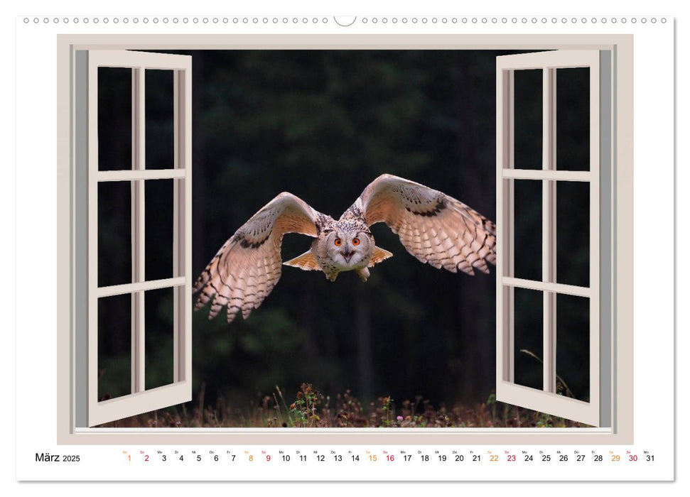 Fenstergucker - tierische Freunde an der Wand (CALVENDO Premium Wandkalender 2025)