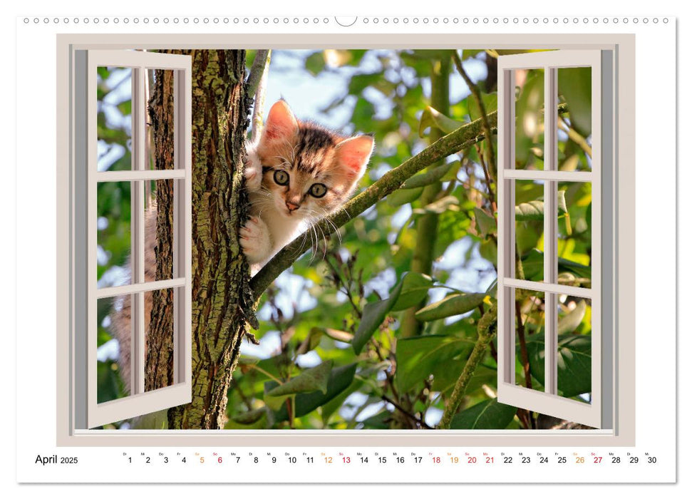 Fenstergucker - tierische Freunde an der Wand (CALVENDO Premium Wandkalender 2025)