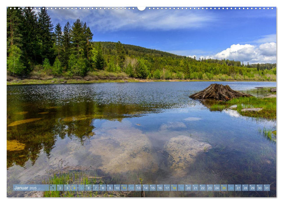 Zauberhaftes Germany (CALVENDO Wandkalender 2025)