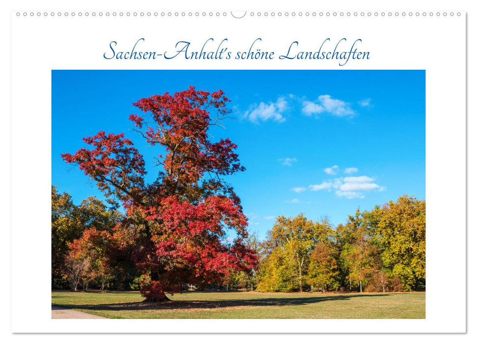 Sachsen-Anhalt's schöne Landschaften (CALVENDO Wandkalender 2025)