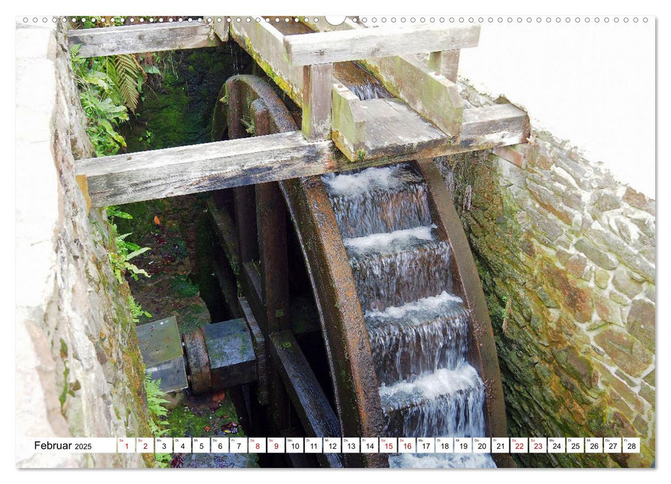 Wind- und Wassermühlen in Sachsen (CALVENDO Wandkalender 2025)