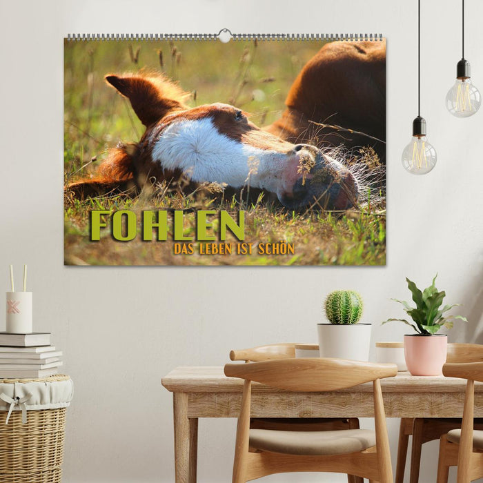 Fohlen - das Leben ist schön (CALVENDO Wandkalender 2025)