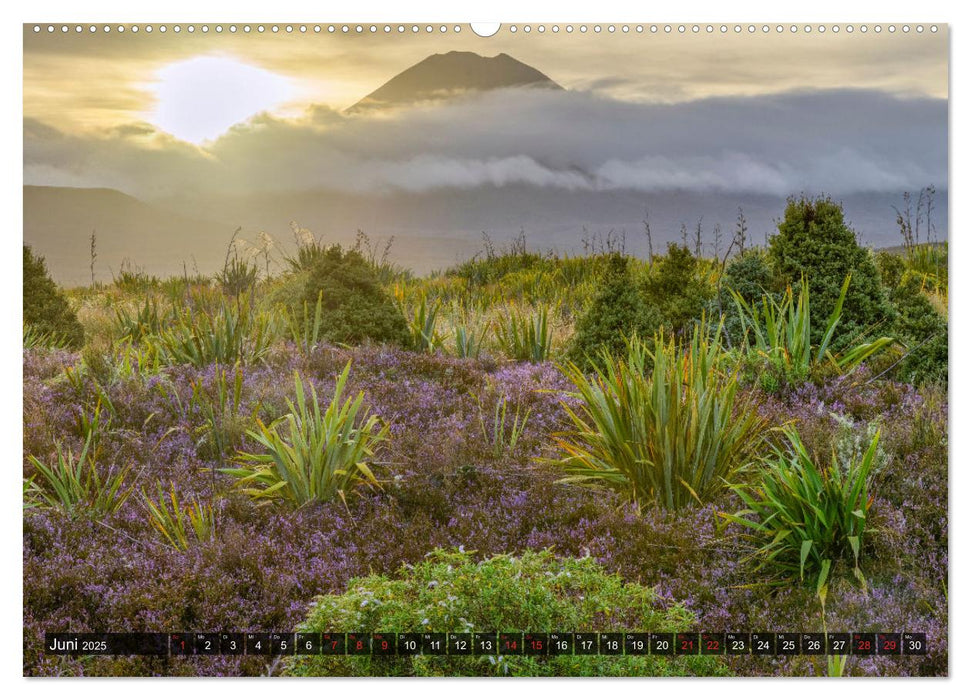 Neuseeland - Naturwunder am Ende der Welt (CALVENDO Premium Wandkalender 2025)