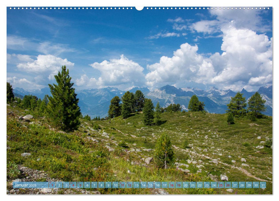 Nendaz - 4-Vallées - Die sonnige Ferienregion der Schweiz (CALVENDO Premium Wandkalender 2025)