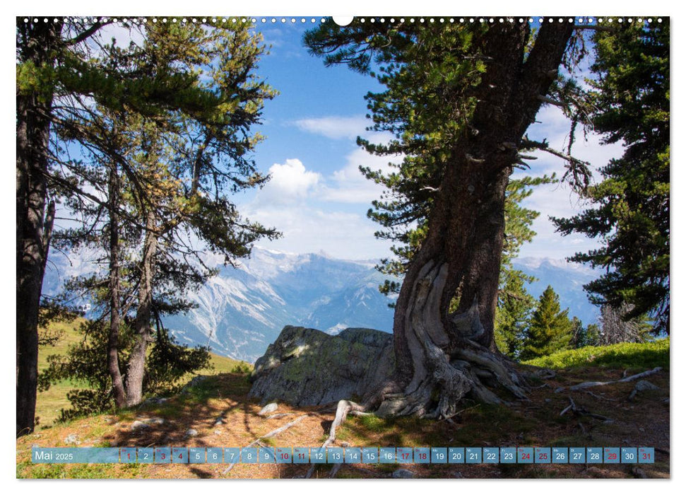 Nendaz - 4-Vallées - Die sonnige Ferienregion der Schweiz (CALVENDO Premium Wandkalender 2025)