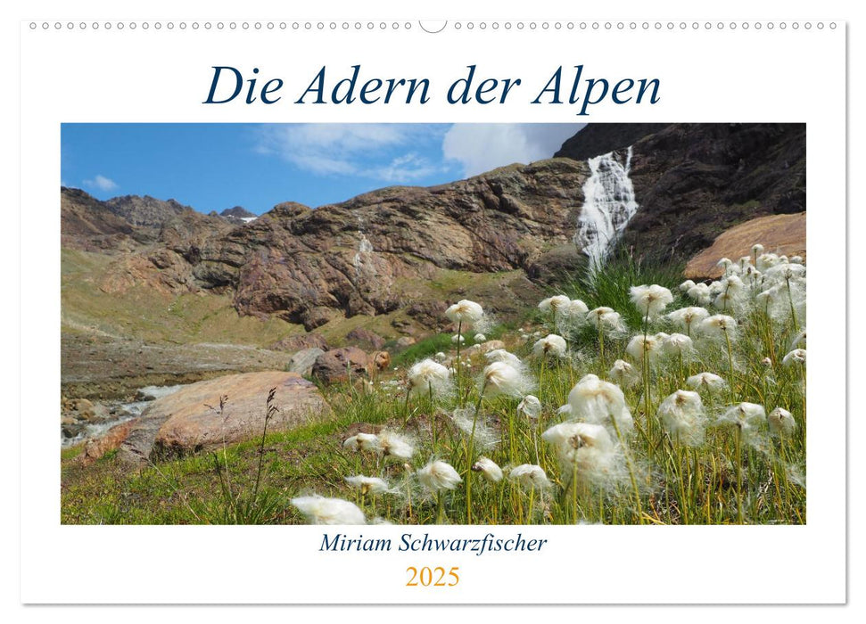 Die Adern der Alpen (CALVENDO Wandkalender 2025)