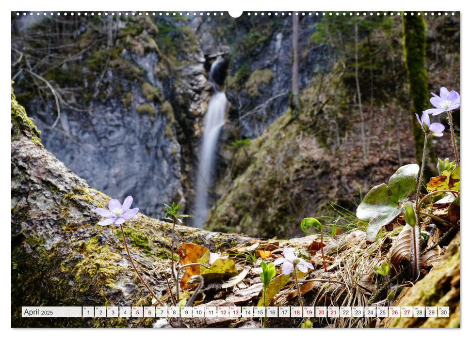 Die Adern der Alpen (CALVENDO Wandkalender 2025)