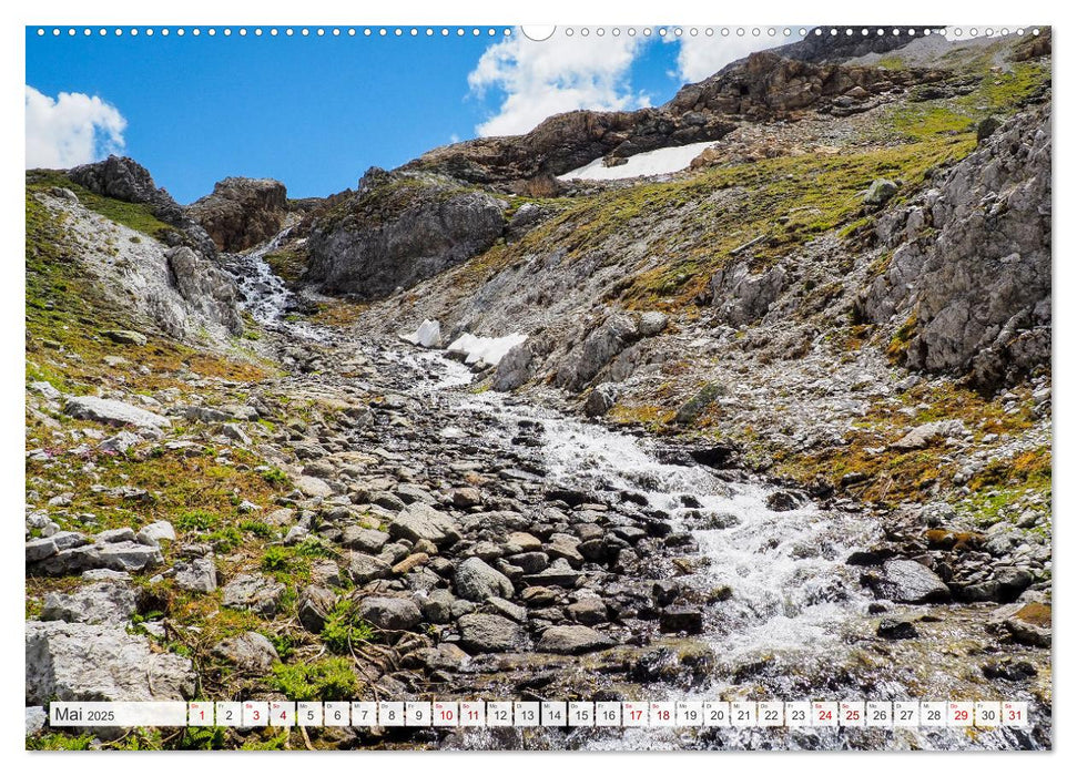 Die Adern der Alpen (CALVENDO Wandkalender 2025)