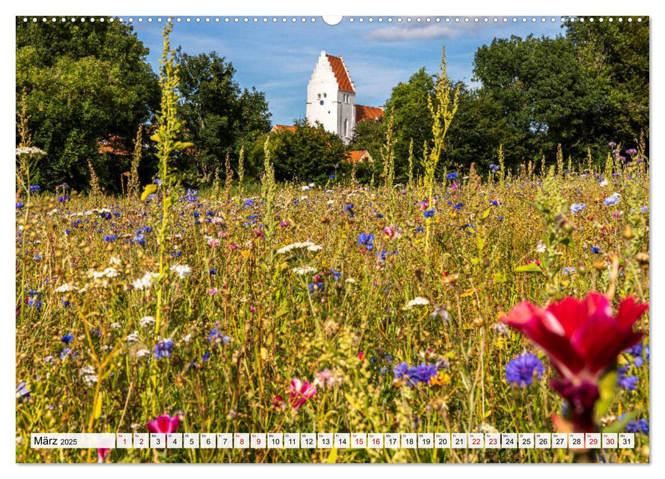 Dänemark - Insel Mön (CALVENDO Premium Wandkalender 2025)