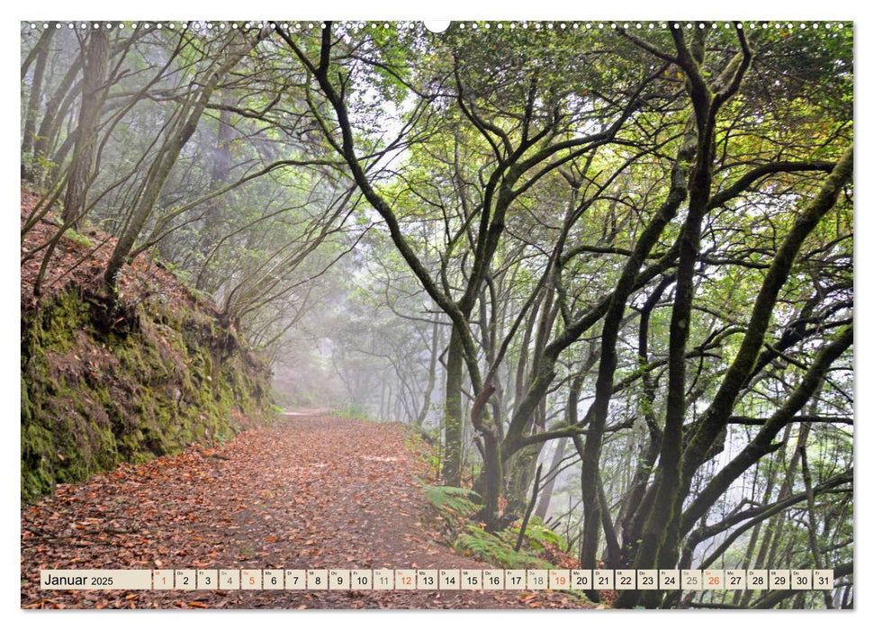 Magic Moments - LA PALMA (CALVENDO Premium Wandkalender 2025)