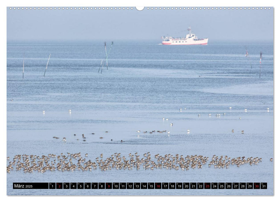 Welterbe Wattenmeer (CALVENDO Premium Wandkalender 2025)