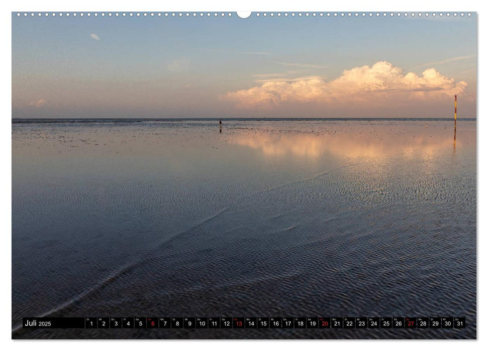 Welterbe Wattenmeer (CALVENDO Premium Wandkalender 2025)