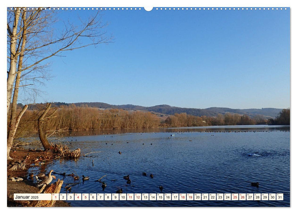 Vom Ried an die Bergstraße, durch den Odenwald ins Neckartal (CALVENDO Wandkalender 2025)