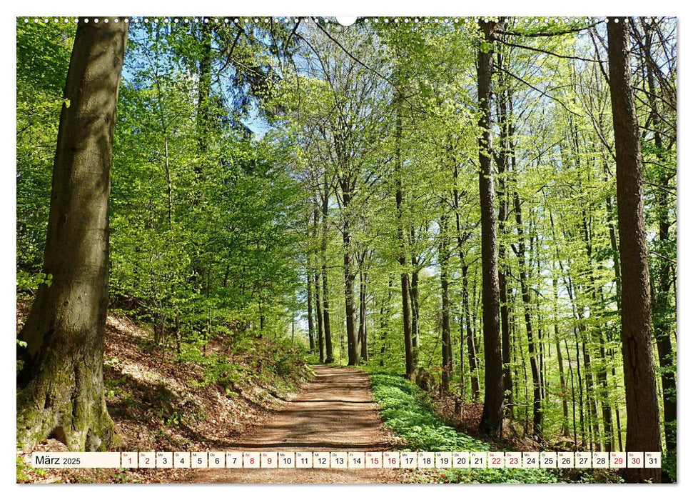 Vom Ried an die Bergstraße, durch den Odenwald ins Neckartal (CALVENDO Wandkalender 2025)