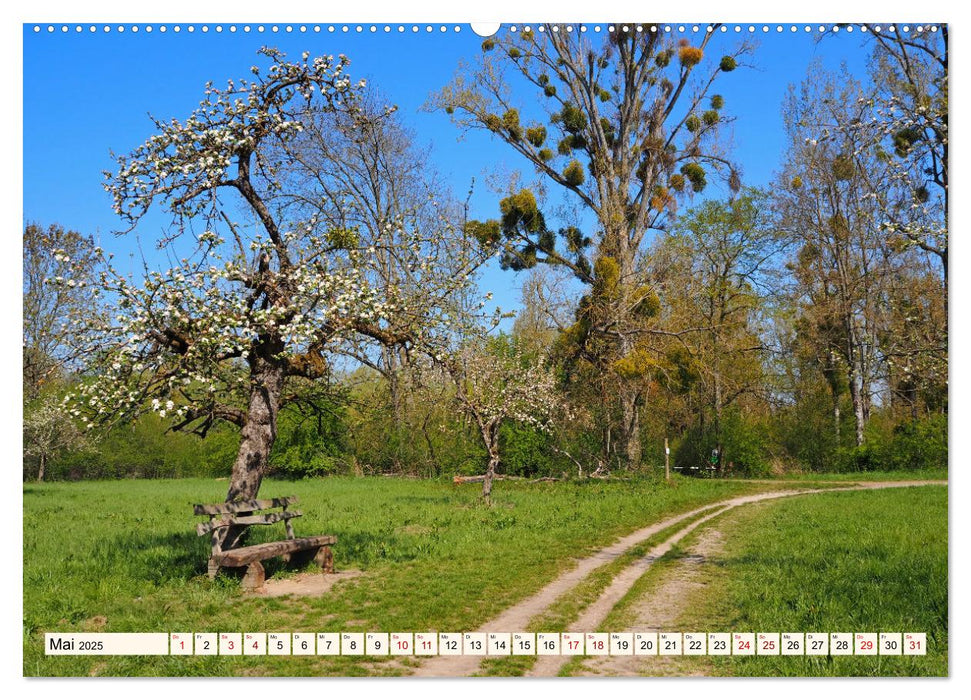 Vom Ried an die Bergstraße, durch den Odenwald ins Neckartal (CALVENDO Wandkalender 2025)