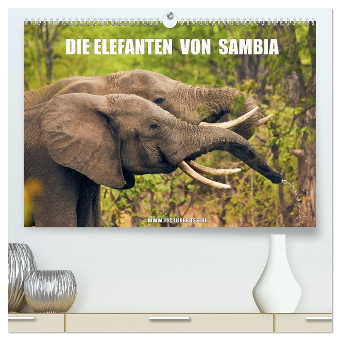 Die Elefanten von Sambia (CALVENDO Premium Wandkalender 2025)