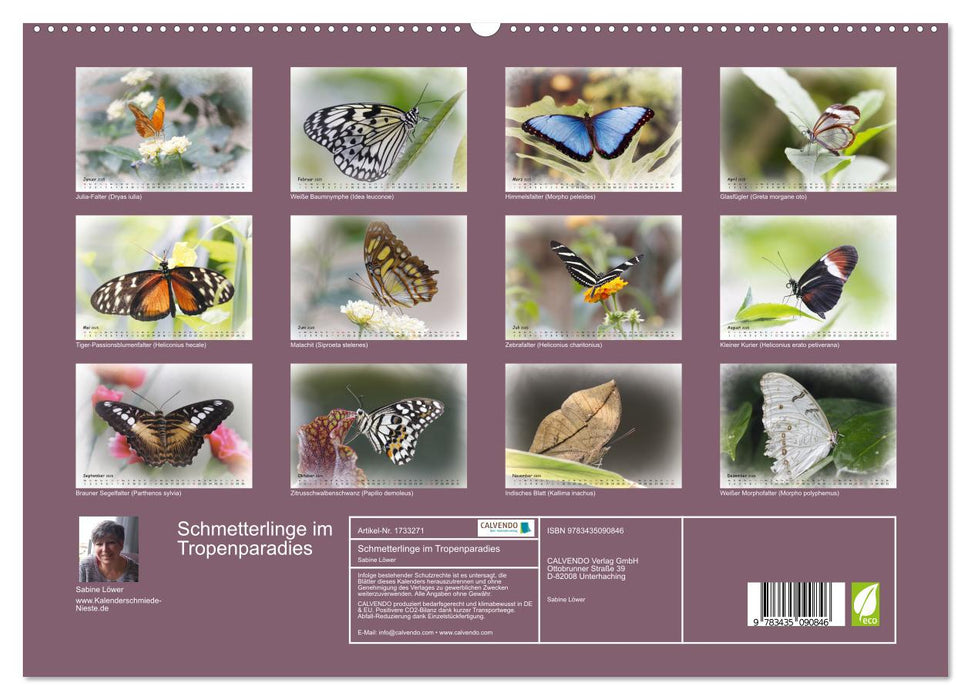 Schmetterlinge im Tropenparadies (CALVENDO Wandkalender 2025)