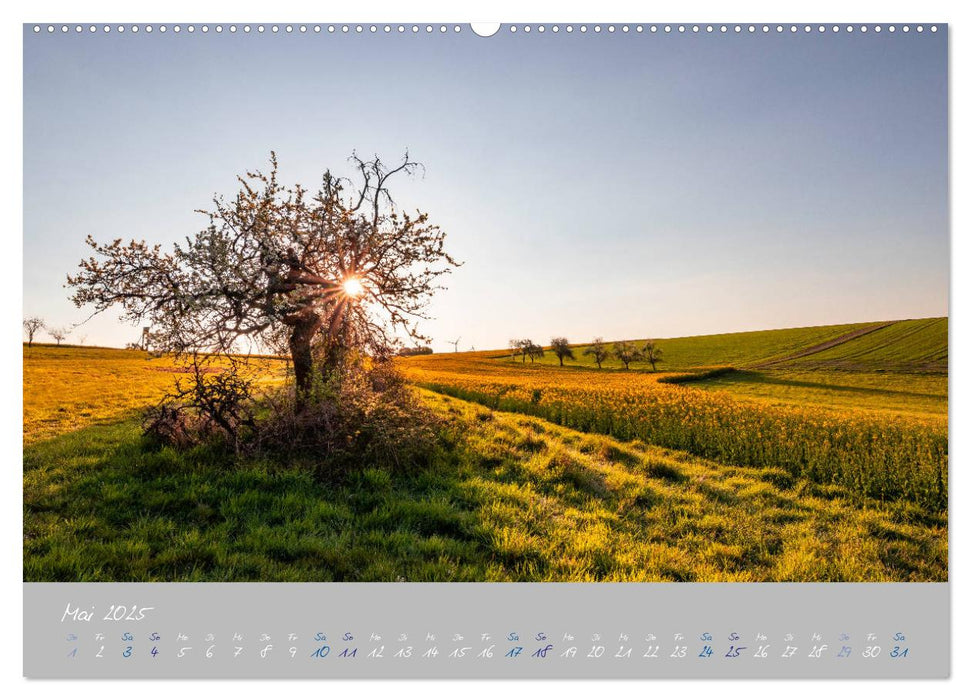 Ausflüge in der Heimat - Die Pfalz (CALVENDO Premium Wandkalender 2025)