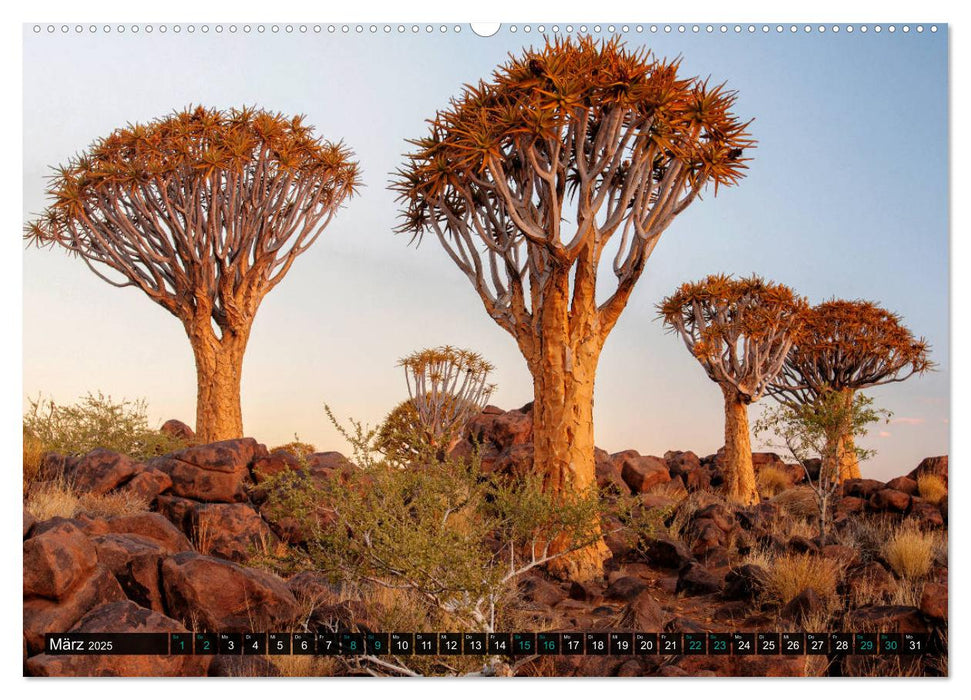 Namibia-Land der Sehnsucht (CALVENDO Premium Wandkalender 2025)