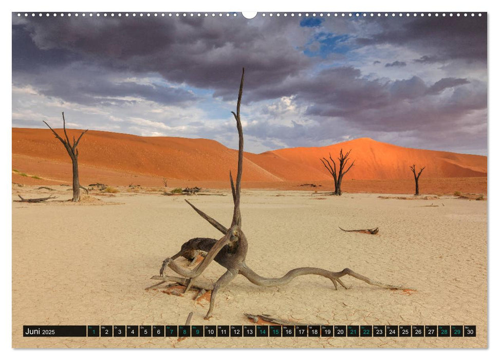 Namibia-Land der Sehnsucht (CALVENDO Premium Wandkalender 2025)