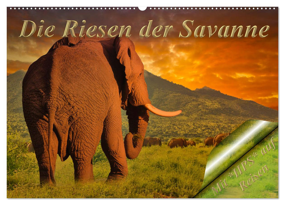 Die Riesen der Savanne (CALVENDO Wandkalender 2025)