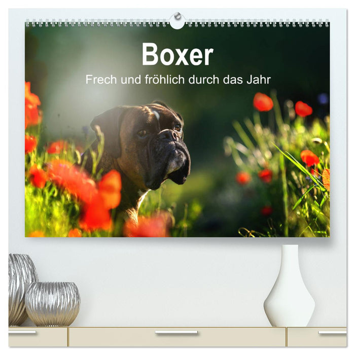 Boxer Frech und fröhlich durch das Jahr (CALVENDO Premium Wandkalender 2025)