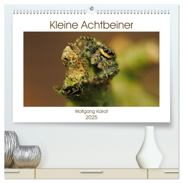 Kleine Achtbeiner (CALVENDO Premium Wandkalender 2025)