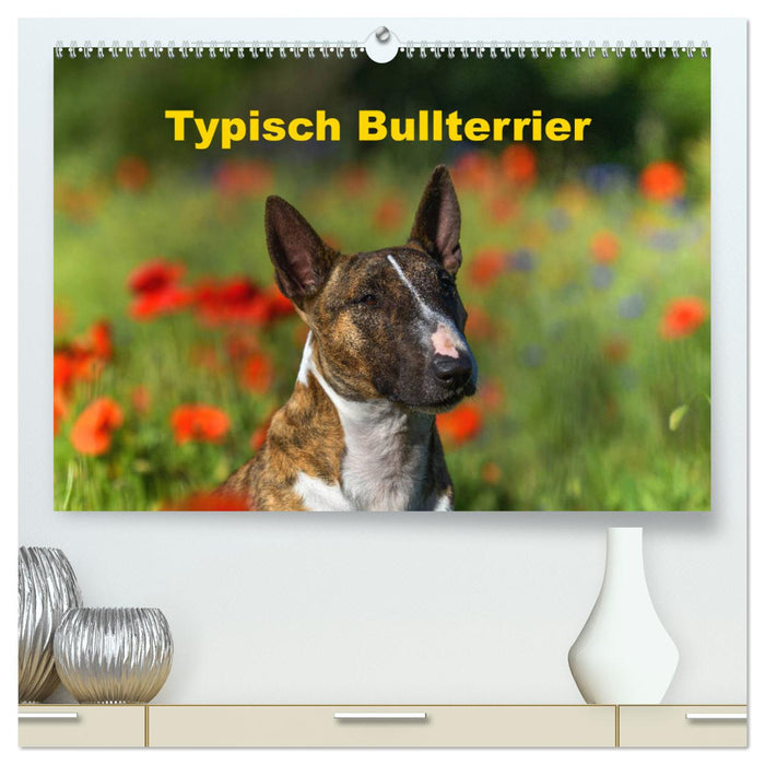 Typisch Bullterrier (CALVENDO Premium Wandkalender 2025)