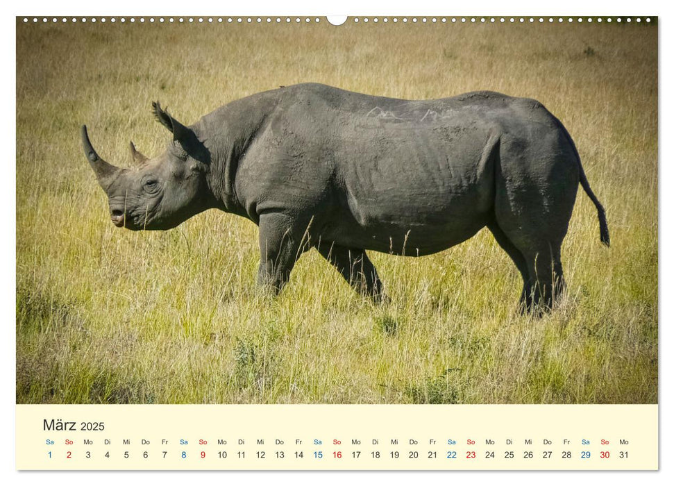 Die Großen und die Kleinen (CALVENDO Wandkalender 2025)