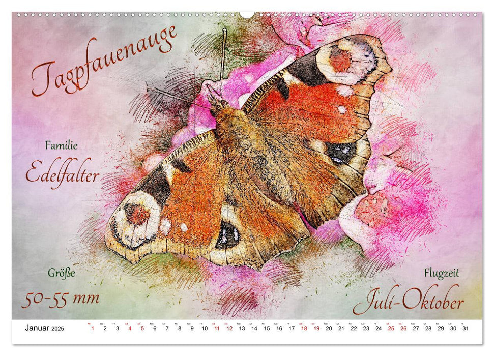 Steckbriefe heimischer Schmetterlinge (CALVENDO Premium Wandkalender 2025)