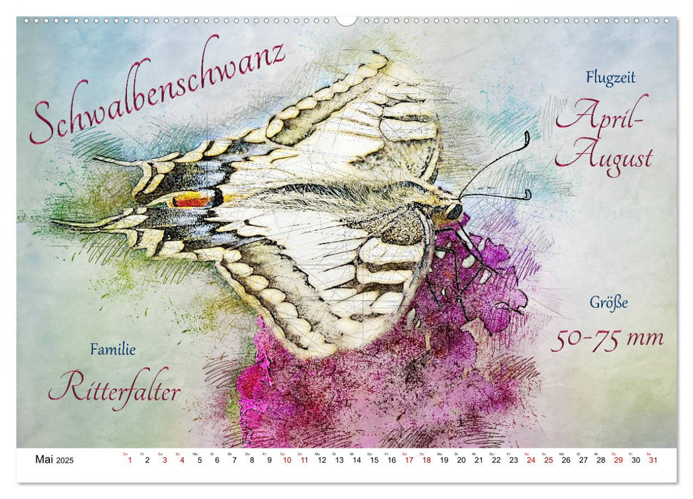 Steckbriefe heimischer Schmetterlinge (CALVENDO Premium Wandkalender 2025)