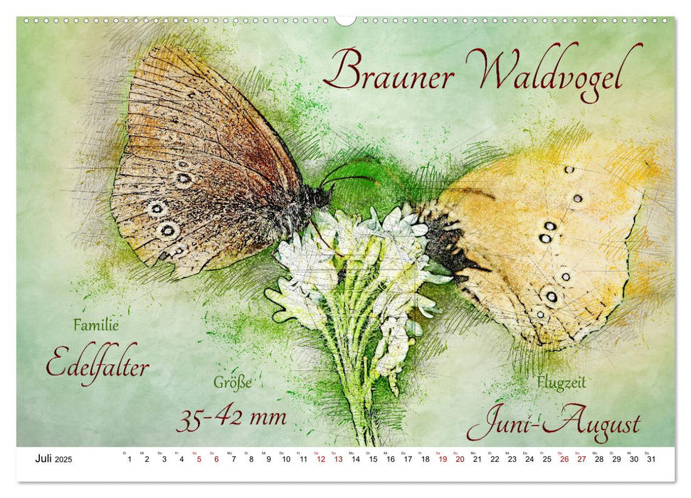 Steckbriefe heimischer Schmetterlinge (CALVENDO Premium Wandkalender 2025)